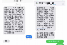 琼中如何避免债务纠纷？专业追讨公司教您应对之策